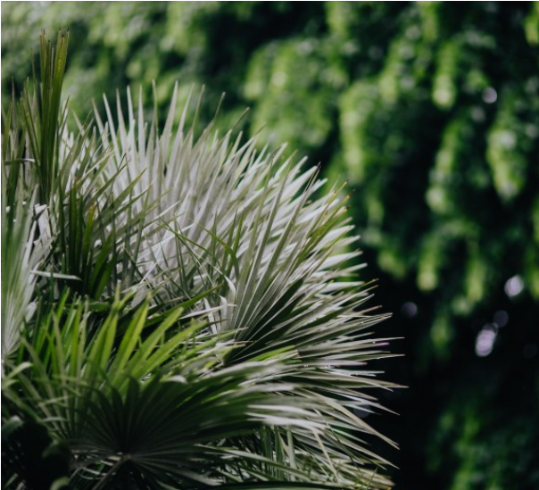  環(huán)保部通報(bào)兩起干擾環(huán)境監(jiān)測(cè)案例 